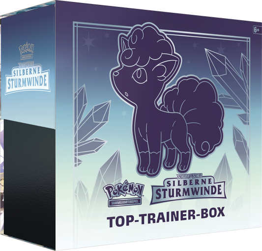 Silberne Sturmwinde Top Trainer Box/ETB
